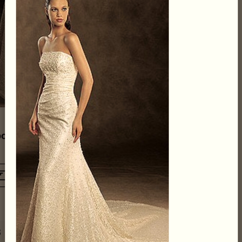 Pronovias Albeniz Tirso Wedding dress - Picture 1 of 15